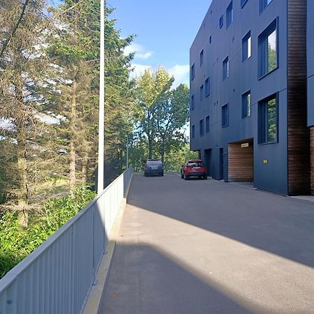 Puffin Nest, Superior Apartment Reykjavik Ngoại thất bức ảnh